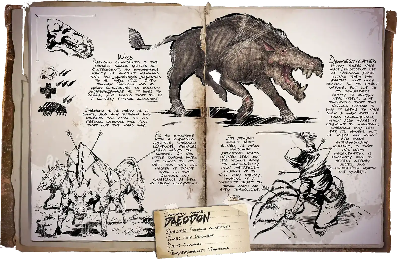 R-Daeodon