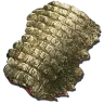 Sarcosuchus Skin