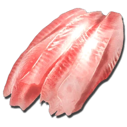 Raw Fish Meat