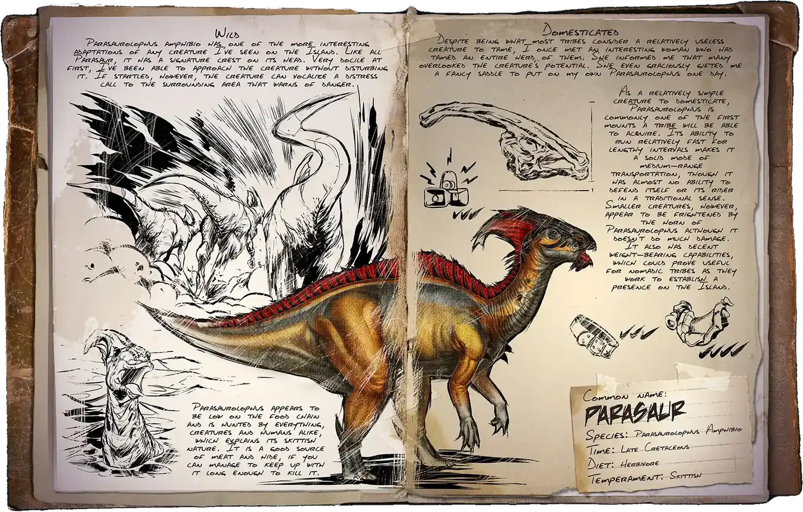 R-Parasaur