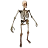 Skeleton Costume
