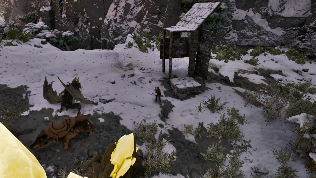 Desmodus Trap view 1