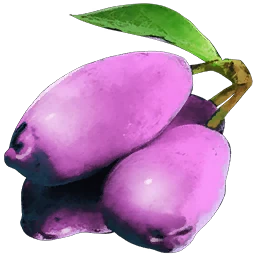 Magenberry