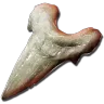 Golden Striped Megalodon Tooth