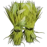 Grass Ghillie Leggings