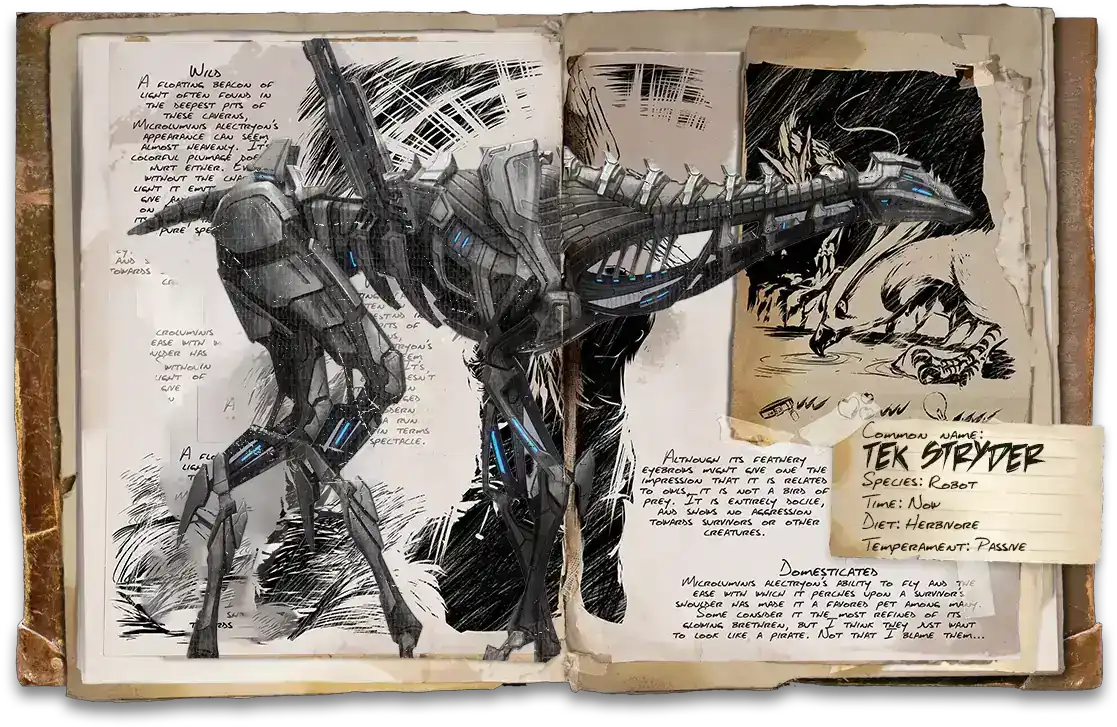 Tek Stryder