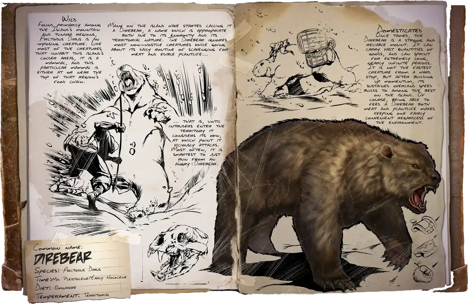 R-Dire Bear