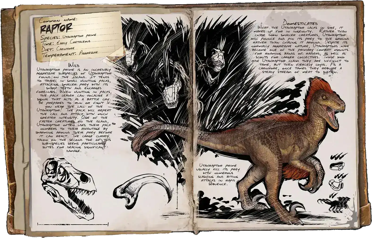 X-Raptor