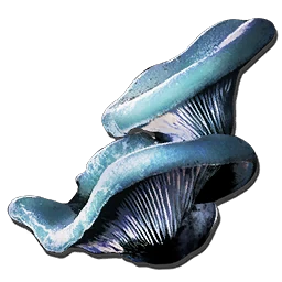 Aquatic Mushroom