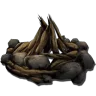 Campfire