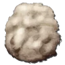 Wool