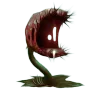 Carnivorous Plant Trap