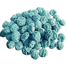 Cianberry Seed