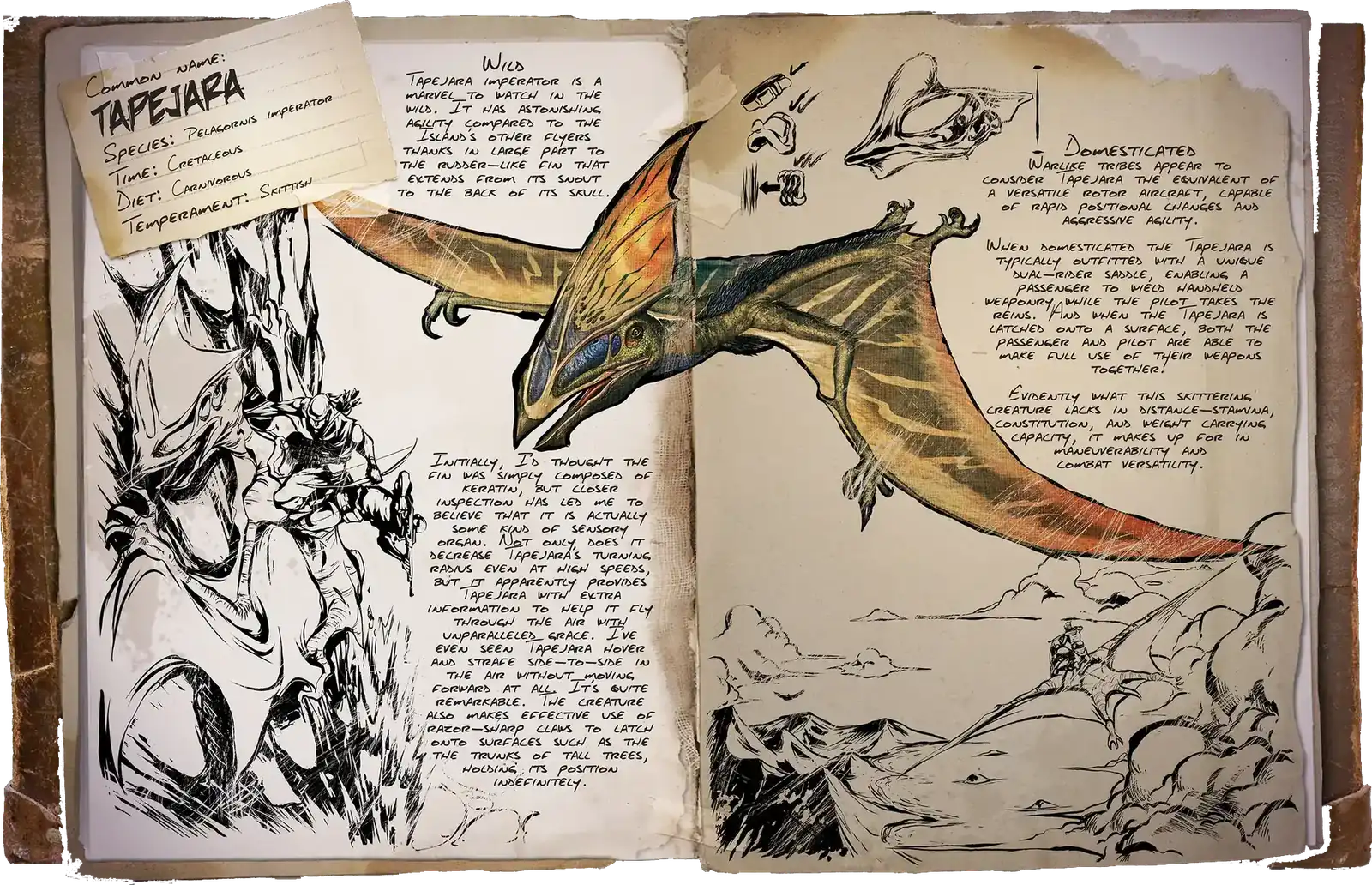 X-Tapejara