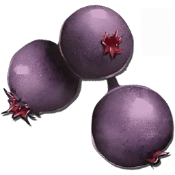 Mejoberry