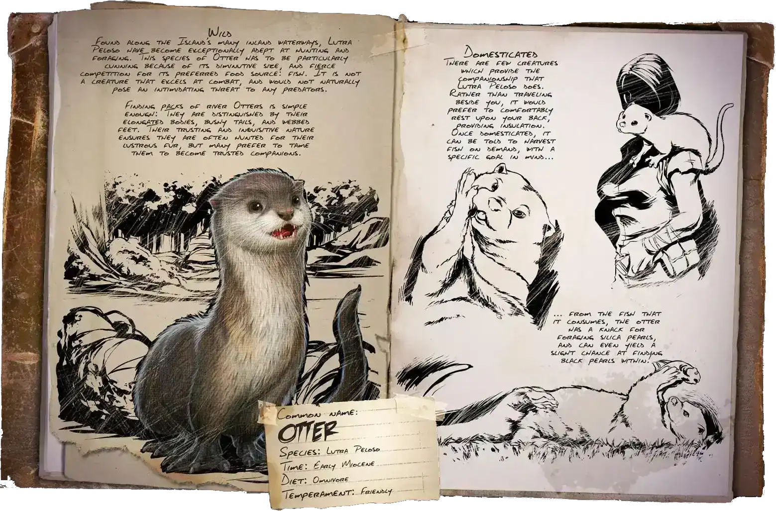 X-Otter
