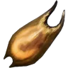 Fertilized Helicoprion Egg