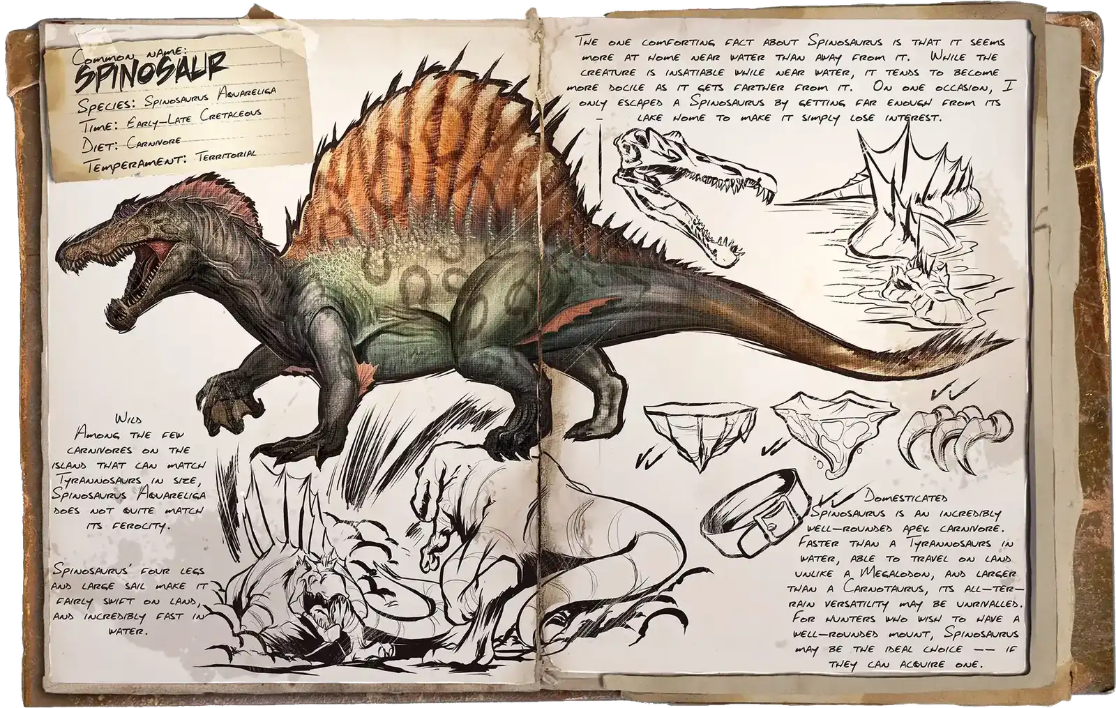 X-Spino