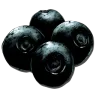 Narcoberry harvesting