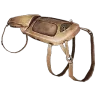 Deinosuchus Saddle