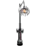 Lost Colony Lights