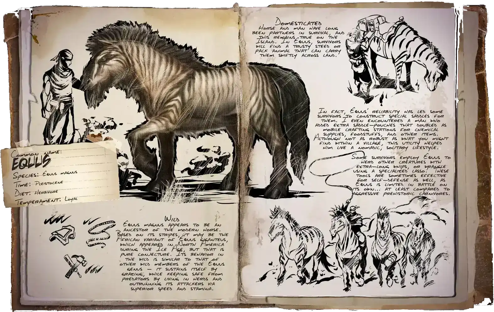 R-Equus