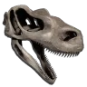 Raptor Bone Costume