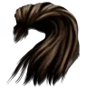 Human Hair