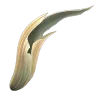 Boaratos Tusk