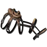 Yutyrannus Saddle