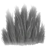 Pelt, Hair, or Wool