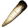 Alpha Tyrannosaur Tooth