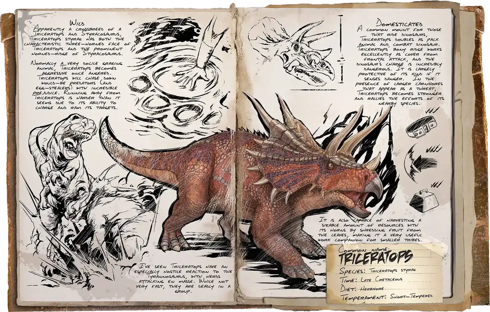X-Triceratops