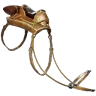 Ceratosaurus Saddle