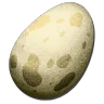 Amargasaurus Egg