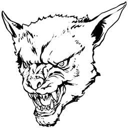 VR Ferox
