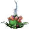 Plant Species X