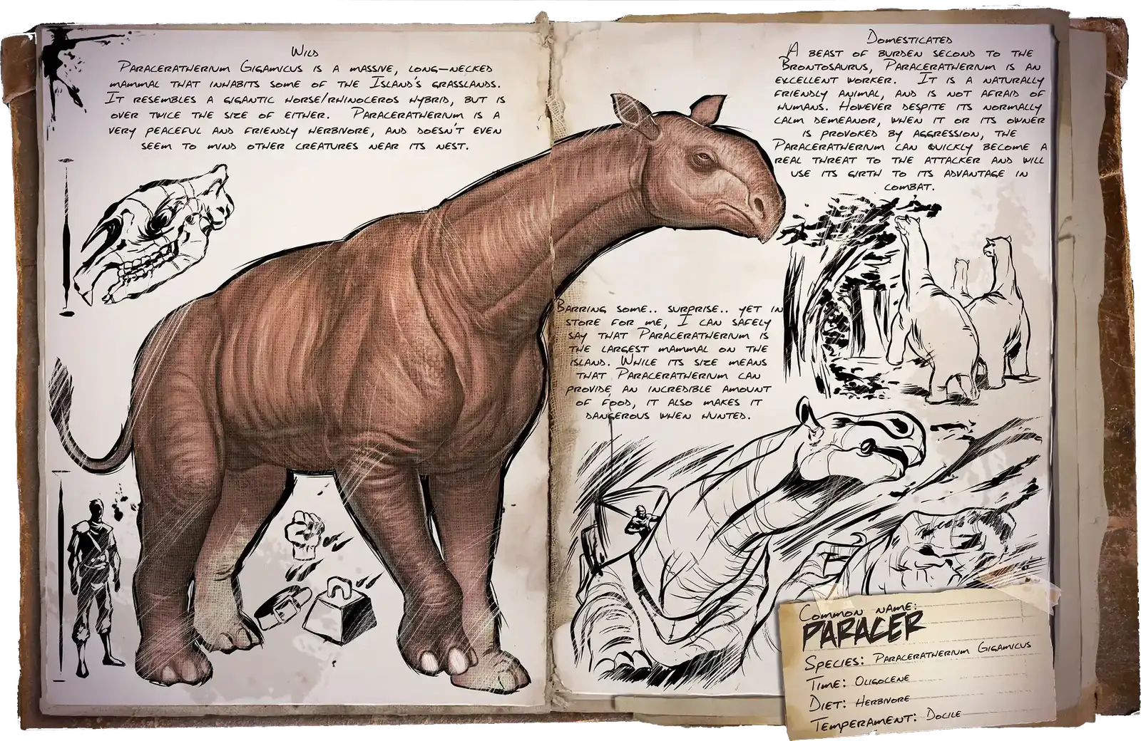 X-Paraceratherium