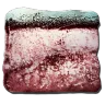 Basilosaurus Blubber