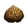 Base Egg Kibble
