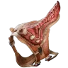 Umbra Saddle