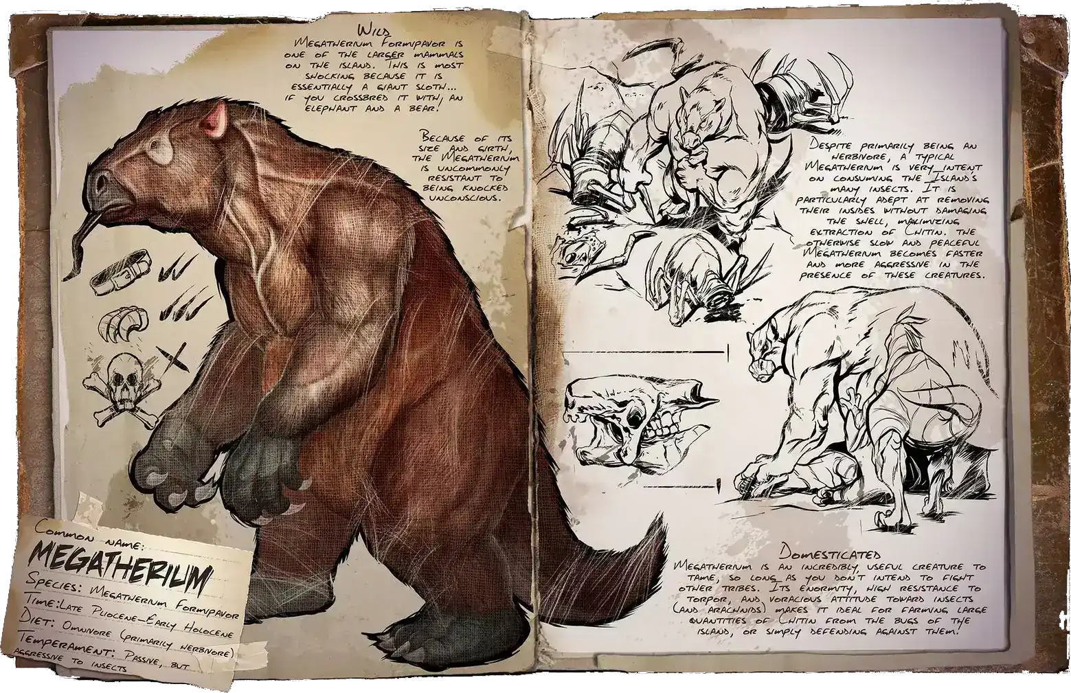 R-Megatherium