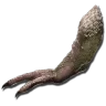 Tyrannosaurus Arm