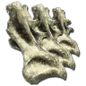 Sauropod Vertebra
