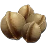 Amarberry Seed harvesting