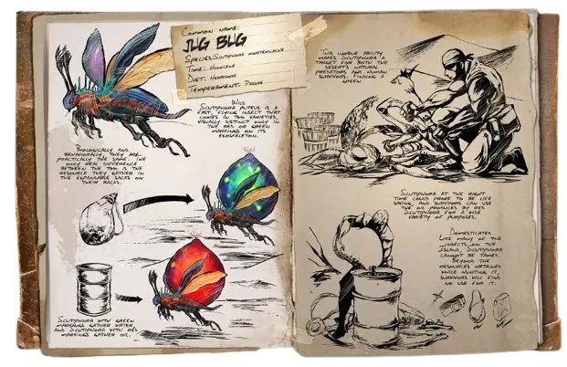 Water Jug Bug