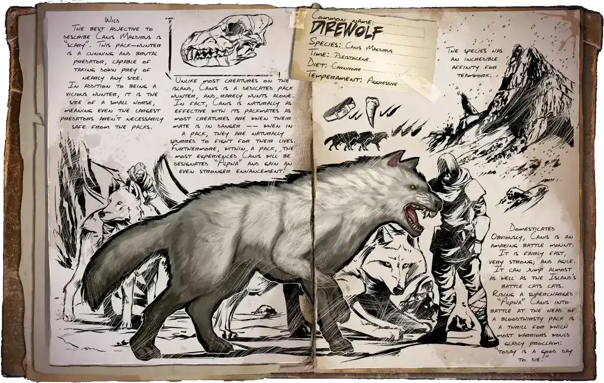 R-Direwolf