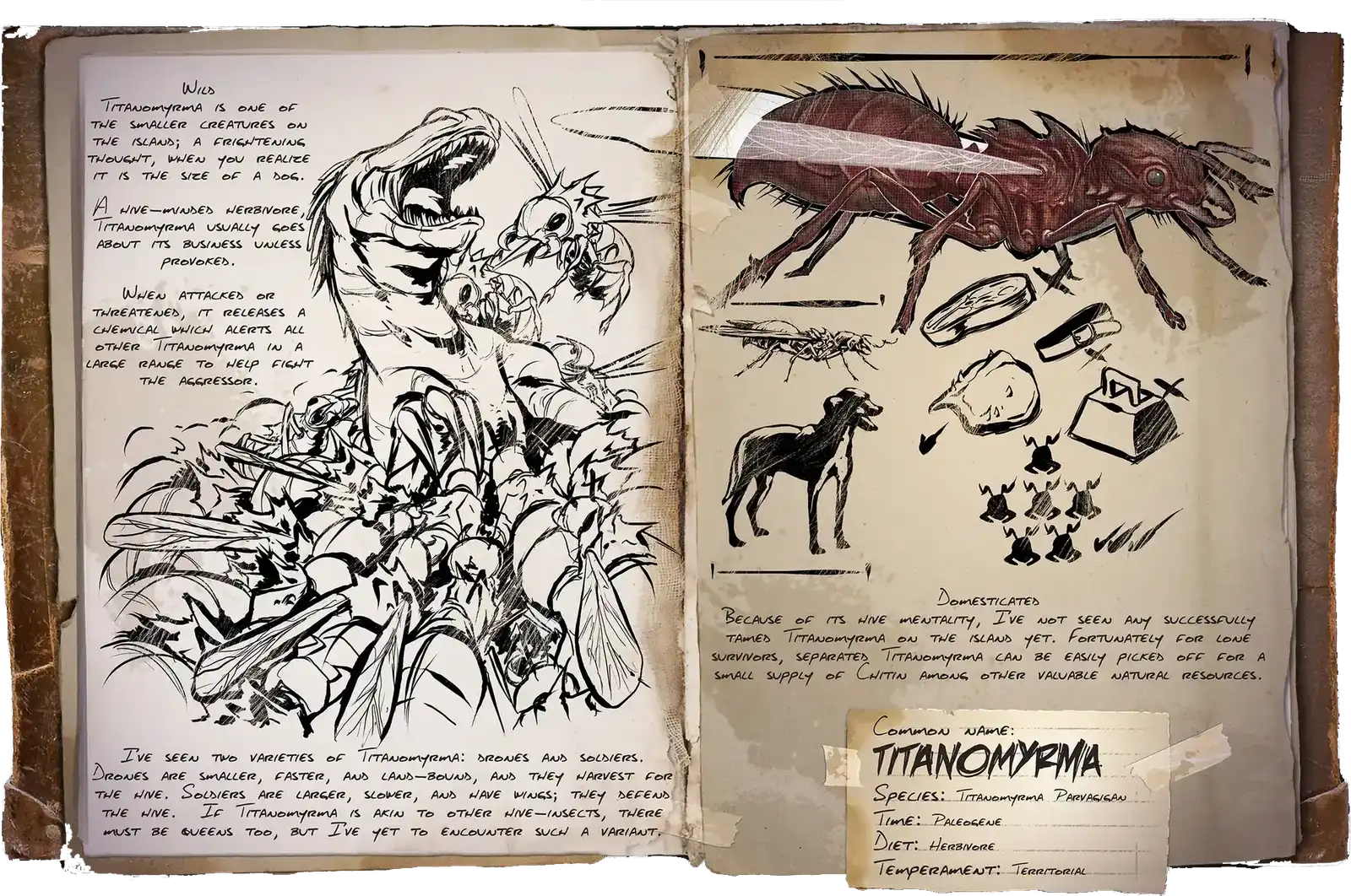 Titanomyrma Soldier