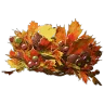 Forest Crown
