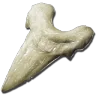 Megalodon Tooth
